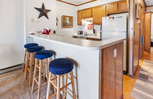 Snowshoe Condo | SC215B 1BR/1BA Sleeps six (6) Wi-Fi Parking Next to Soaring Eagle and 10 Prime!