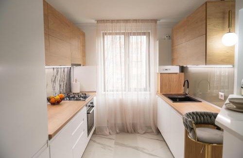 Piatra Neamt Apartment | Scandinavia Apartment 2