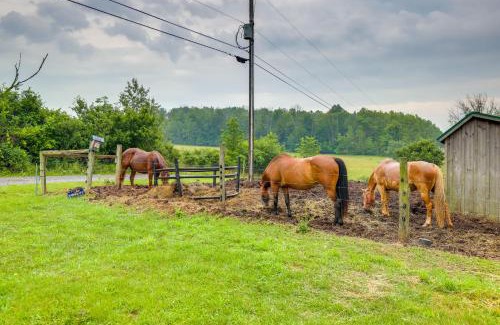 Cowanesque House | Scenic Deck and Grill Middlebury Center Retreat!