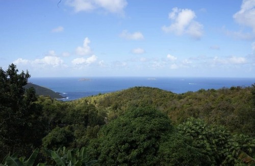 Estate Bordeaux House | Scenic View: A Tropical Experience