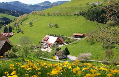 Zell am Harmersbach Apartment | Schäfchenwohnung, 35 qm, 1 Wohn-/Schlafzimmer, 1 Schlafzimmer, max. 4 Personen