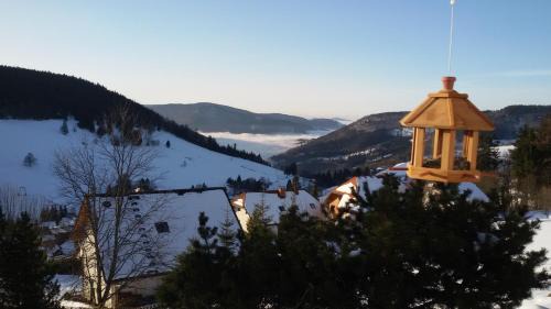 Todtnauberg Apartment | Schöne Aussicht