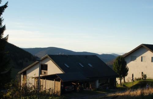 Todtnauberg Apartment | Schöne Aussicht