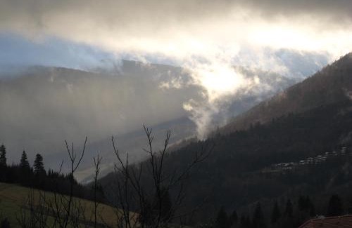 Todtnauberg Apartment | Schöne Aussicht