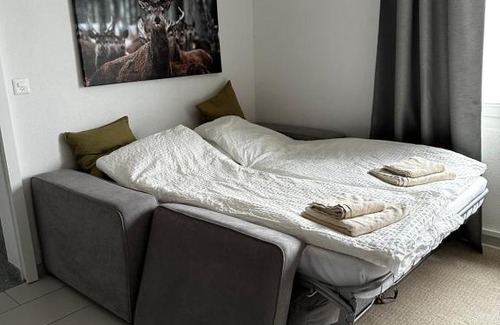 Arth Apartment | Schöne Ferienwohnung mit Aussicht auf den Zugersee