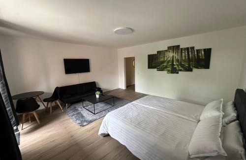 Ehnernviertel Apartment | Schönes Apartment Deluxe - Zentrum