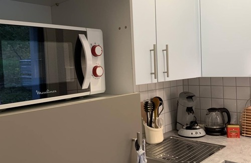 Herrischried Apartment | Schönes Einzimmer Schwarzwald Appartment mit Balkon in Herrischried