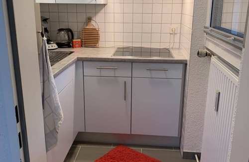 Herrischried Apartment | Schönes Einzimmer Schwarzwald Appartment mit Balkon in Herrischried