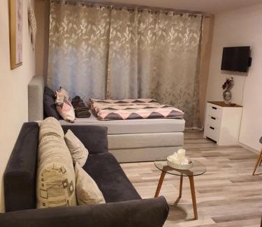 Tuebingen Apartment | Schönes Modernes Apartment in der Nähe vom Bahnhof