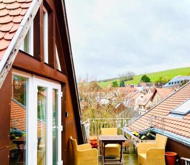 Mainz-Bingen Apartment | Schönster Blick auf Oppenheim!