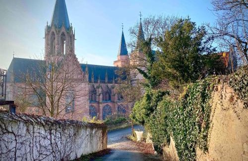 Mainz-Bingen Apartment | Schönster Blick auf Oppenheim!