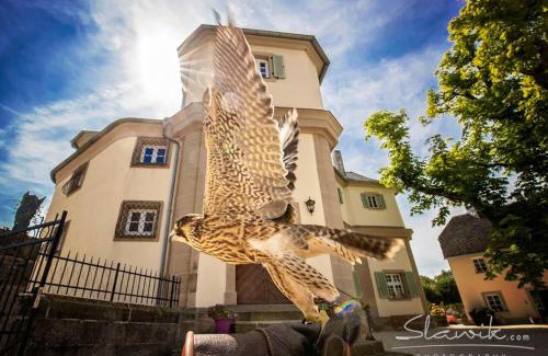 Bad Berneck im Fichtelgebirge Bed & Breakfast | Schloß Falkenhaus