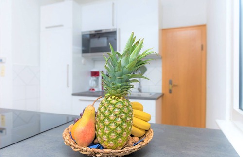 Muehlheim am Main Apartment | Schaefer Apartments GmbH