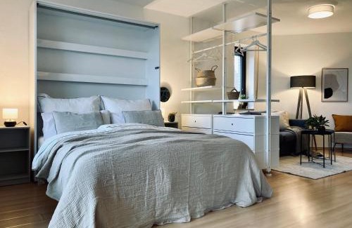 Mitte-Sud Apartment | Schickes, Stilvolles und Helles Apartment in Münster