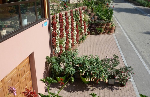 Bernardville Apartment | Schieferberg in the heart of the vineyards