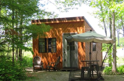 Lincoln Other | Schlafman's Hollow