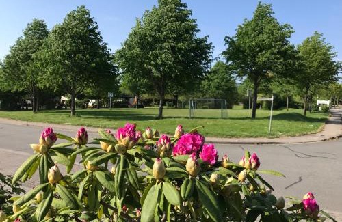 Maasholm-Bad Apartment | Schlei Idyll