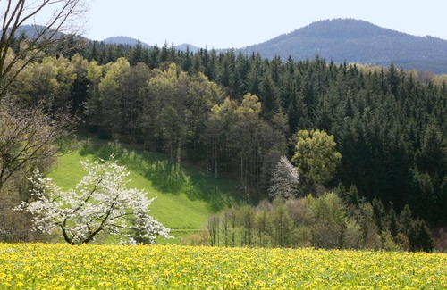 Oberwolfach Apartment | Schmalzerhisli