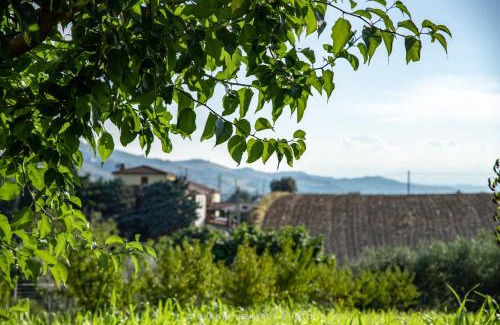Lapedona Bed & Breakfast | ScholaBnb “ percorso esperenziale di vita rurale sostenibile”