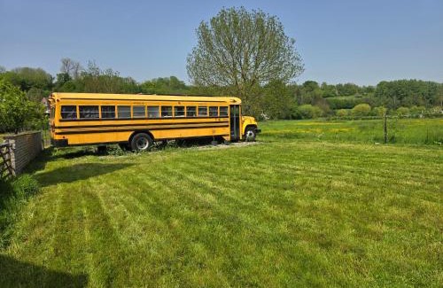 Bassenge Other | School bus