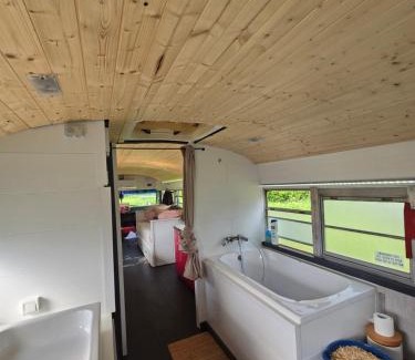Bassenge Other | School bus
