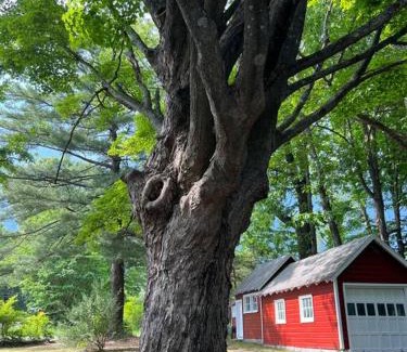 Town of Marbletown House | Schoolhouse No. 11 * Hudson Valley Upstate Getaway