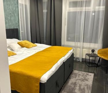 Villingen-Schwenningen Apartment | Schwarzwald City Loft 1