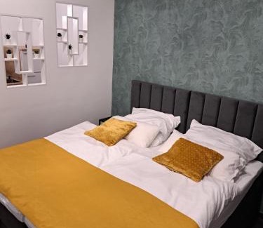 Villingen-Schwenningen Apartment | Schwarzwald City Loft 1
