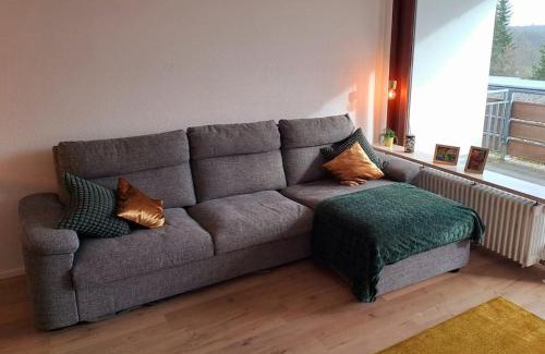 Unterkirnach Apartment | Schwarzwald-Traum mit Pool und Sauna