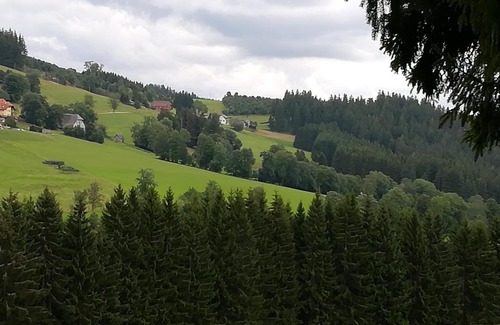Schwarzenbach Hotel | Schwarzwaldgasthaus Salenhof