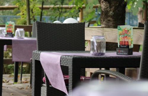 Gutach im Breisgau Hotel | Schwarzwaldhotel Stollen