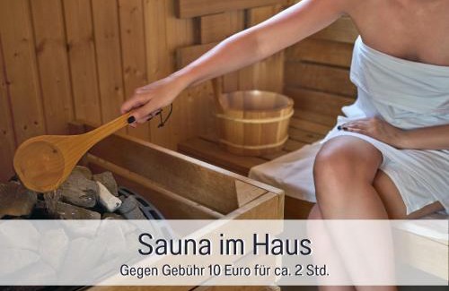 Todtnauberg Apartment | SCHWARZWALDNACHT mit Sauna im Haus ideal zum wandern und biken Balkon Tiefgarage E-Ladestation