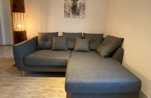 Dachsberg Apartment | Schwarzwaldnest Dachsberg