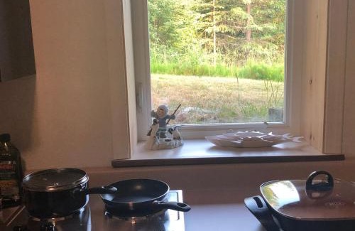 Kalifornsky Apartment | Scout Lake Adventures - LAKE FRONT fishing avail