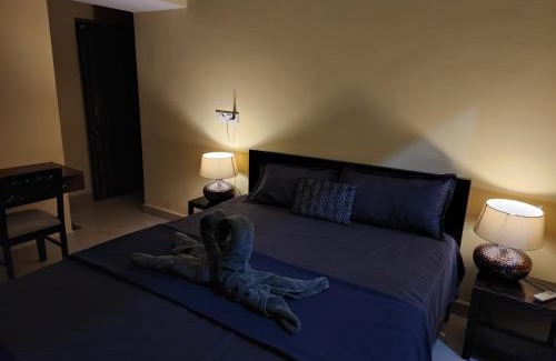 Moira Apartment | SD D'Souza Heritage Moira Flats with Reserved Parking