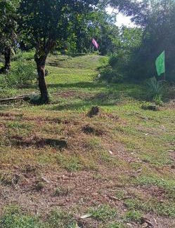 Cavinti Other | Señor Magallanes Fruit Farm and Lakeview Resort