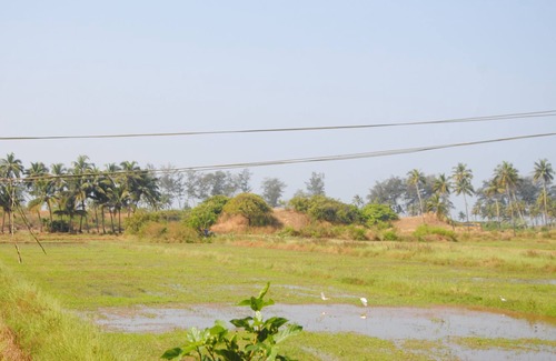 Betalbatim Apartment | Sea Breeze Luxury 2 BHK apartment,Betalbatim, Goa.