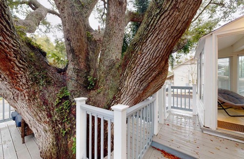 Saint Simons Island House | Sea Breeze Treehouse - 501 Seabreeze Drive