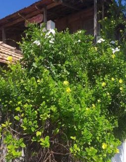 Eravipuram House | Sea castle beach homestay