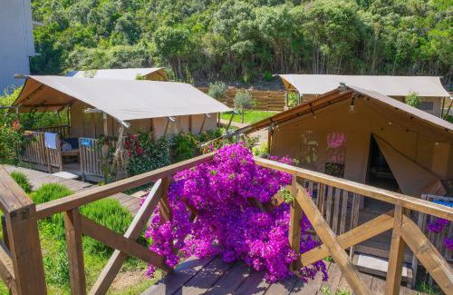 Jaz Other | Sea Glamping