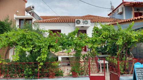 Petra House | Sea La Vie Beach House