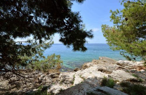 Susica Apartment | Sea Side Apartment