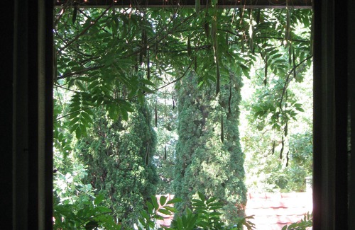 Petrovac Villa | Sea-side Old Stone Villa In Private Mediterranian Garden