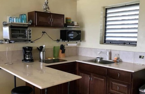 Frederiksted Southeast House | Sea view at the beach