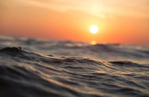 Kalapettai Resort | Sea Wave Beach Resort