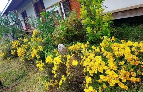 Port Vila Resort | Seachange Lodge