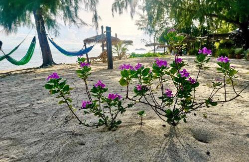 Baan Tai Resort | SeaEsta Beach