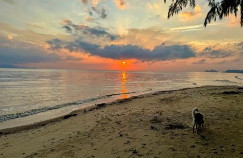 Baan Tai Resort | SeaEsta Beach