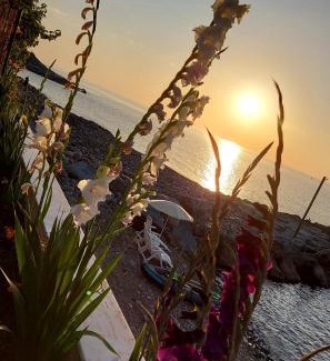 Ardesen Apartment | Seafront Apartment by the sea and with a beach and with big garden