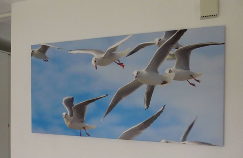 Dornumergrode House | Seagull View Holiday Home